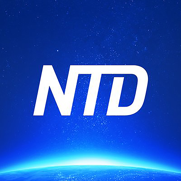 NTD2.jpg