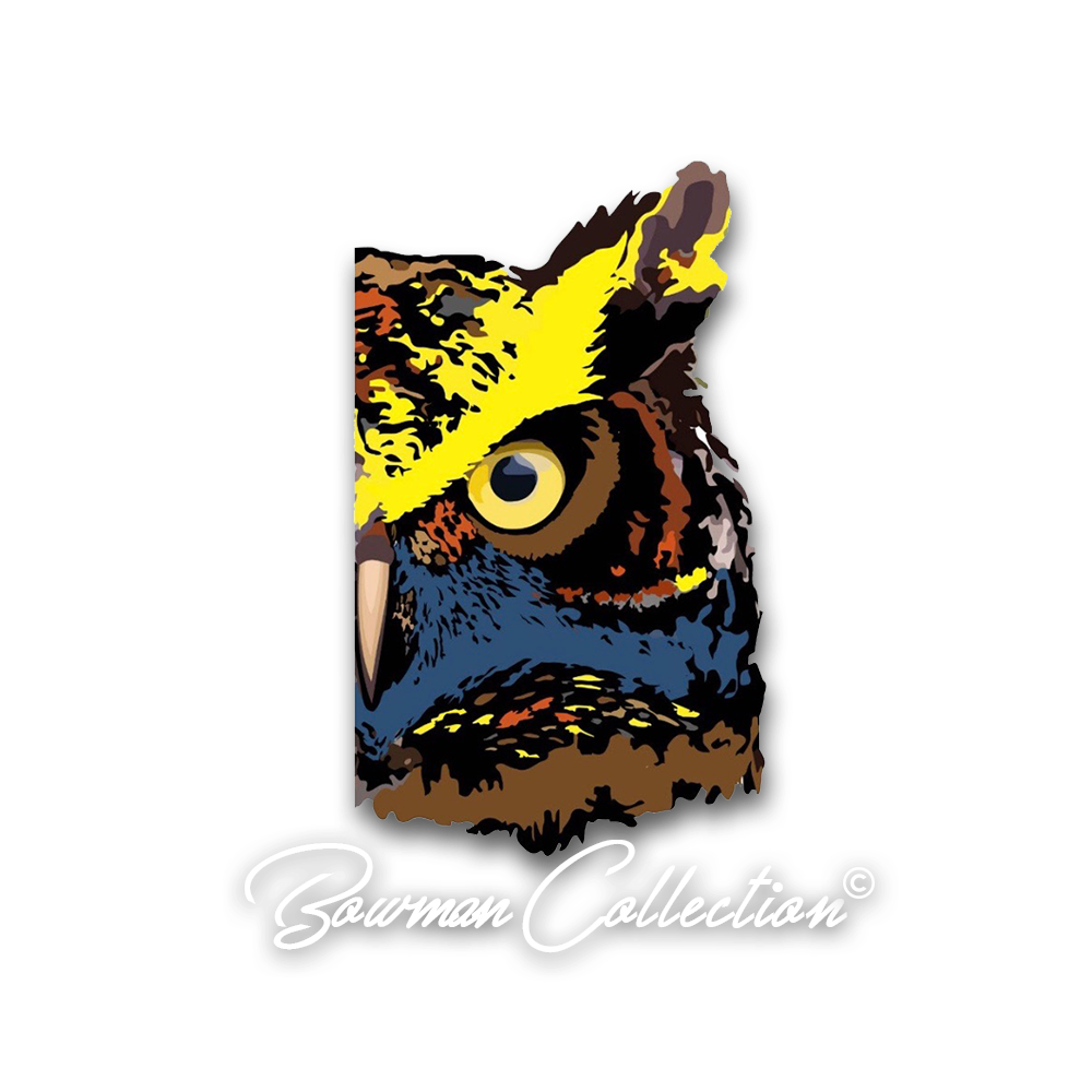 bc-owl-logo.png